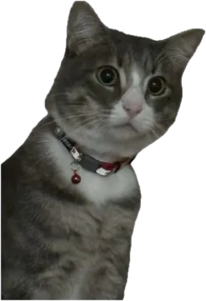 el joey 67 Discord emoji — free static PNG download