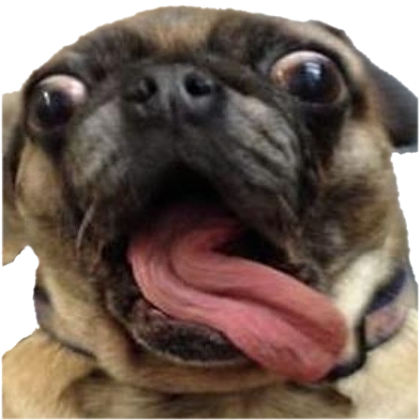 crazydog Discord emoji — free static PNG download
