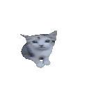 lalacat Discord emoji — free animated GIF download