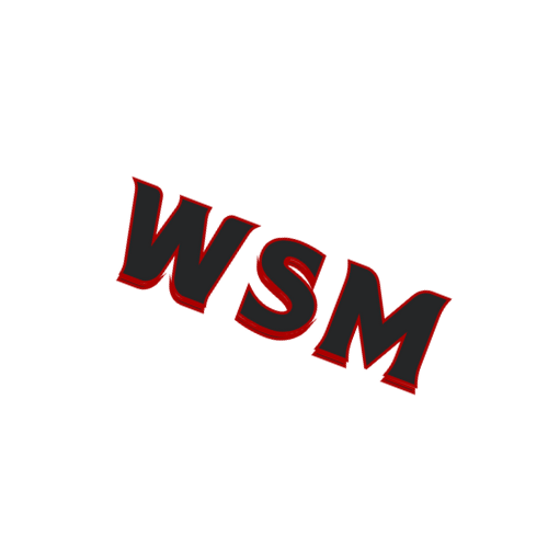 wsm Discord emoji — free static PNG download