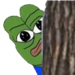 pepepeek Discord emoji — free static PNG download