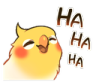 birb laugh Discord emoji — free static PNG download