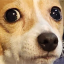 oh Discord emoji - free download