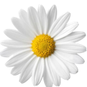 daisy4 Discord emoji - free download