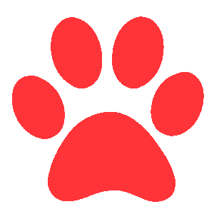 red Discord emoji — free animated GIF download