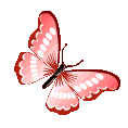 red butterfly Discord emoji — free animated GIF download