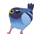 pigeondance Discord emoji — free animated GIF download