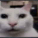 cat huh stare Discord emoji — free static PNG download