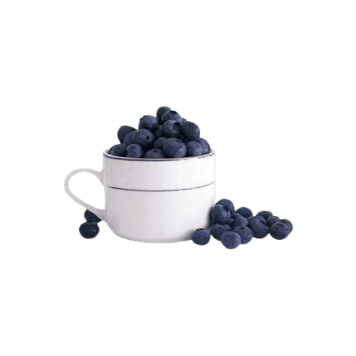 blue blueberry Discord emoji — free static PNG download