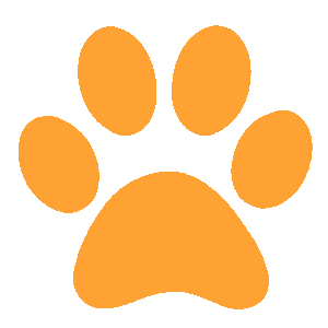 orange Discord emoji — free animated GIF download