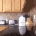 food fight Discord emoji — free animated GIF download