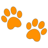 orange Discord emoji — free static PNG download