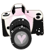 camera Discord emoji — free animated GIF download