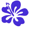 blueflower Discord emoji — free static PNG download