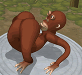 monkeysniff Discord emoji — free animated GIF download