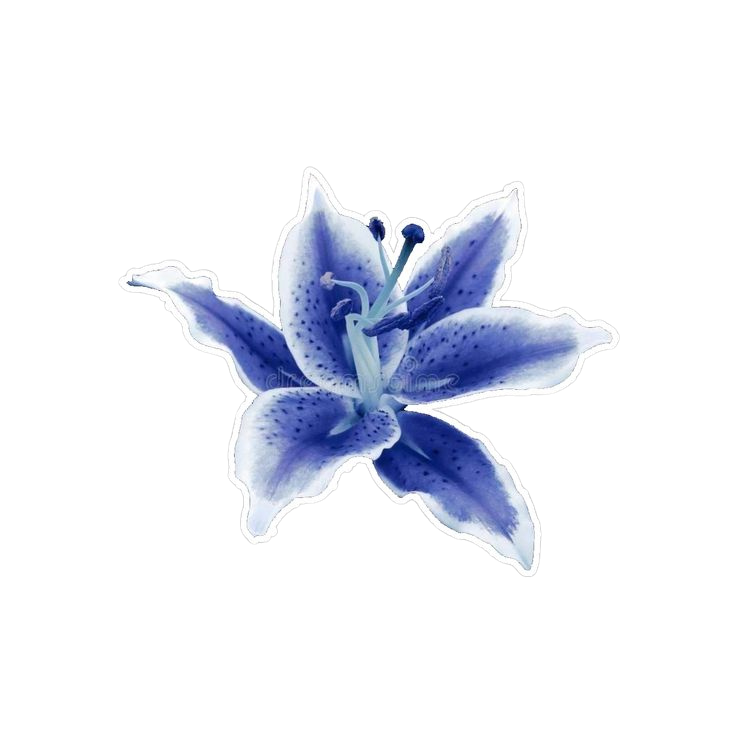 blueflower Discord emoji — free static PNG download
