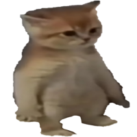 cat Discord emoji — free static PNG download