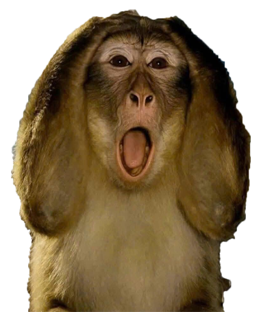 monkeypanicked Discord emoji — free static PNG download