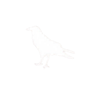 crow Discord emoji — free static PNG download