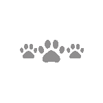 graycatpaws Discord emoji - free download