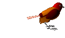 weirdbird Discord emoji — free animated GIF download