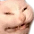 catkek Discord emoji — free static PNG download