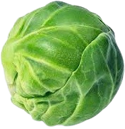 brusselssprout Discord emoji — free static PNG download