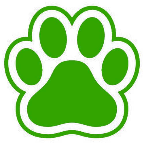 green Discord emoji — free static PNG download