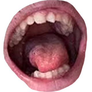 rickymouth Discord emoji — free static PNG download