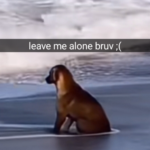 leavemealonebruv Discord emoji — free static PNG download