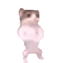 emote2 Discord emoji — free animated GIF download