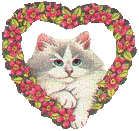 catheart Discord emoji — free animated GIF download