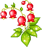 redflowers Discord emoji — free animated GIF download