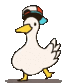dancing duck Discord emoji — free animated GIF download