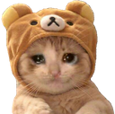 kitty sad Discord emoji — free static PNG download