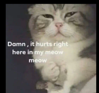 hurt cat Discord emoji — free static PNG download