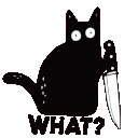 what cat Discord emoji — free animated GIF download
