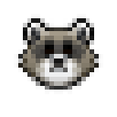 raccoon Discord emoji — free static PNG download