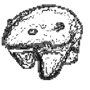 transparentbear Discord emoji — free static PNG download