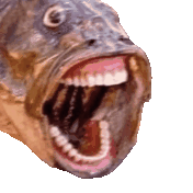 crazyfish Discord emoji — free animated GIF download
