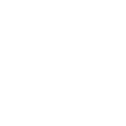 shield Discord emoji — free static PNG download