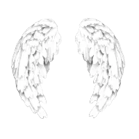angelwings Discord emoji — free static PNG download