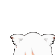 peek Discord emoji — free animated GIF download