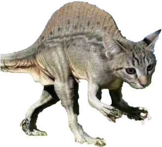 cat Discord emoji — free static PNG download