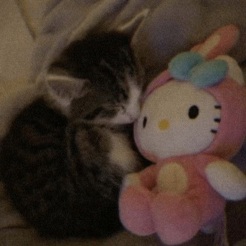 hellokittyandkitty Discord emoji — free static PNG download