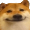 doge face Discord emoji — free static PNG download
