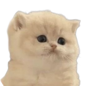 dumbfoundedkitten Discord emoji — free static PNG download