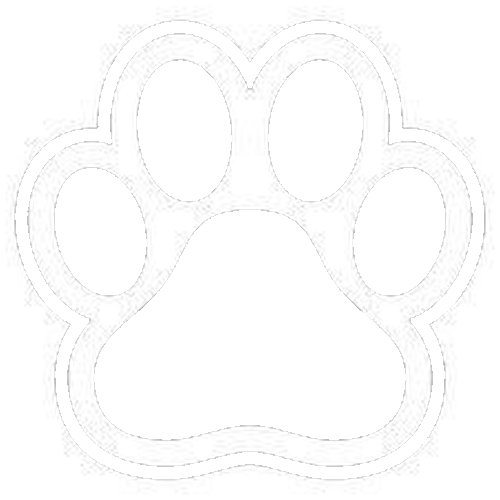white Discord emoji — free static PNG download