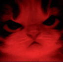 cat angry Discord emoji — free static PNG download