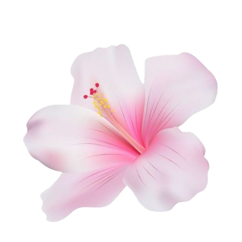hibiscus Discord emoji - free download